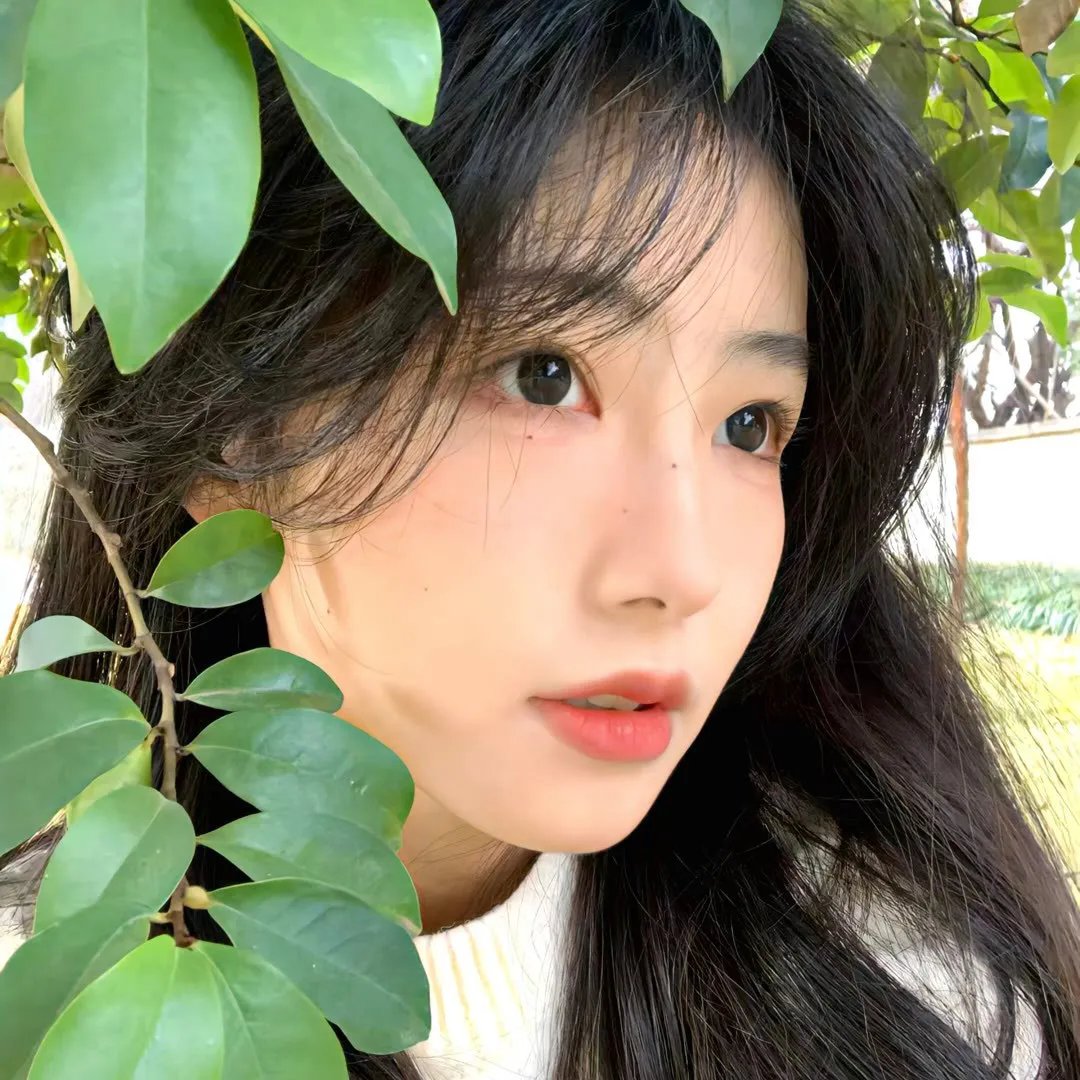 春光之境